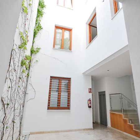 Renthas Vid Loft Apartment Малага Екстериор снимка
